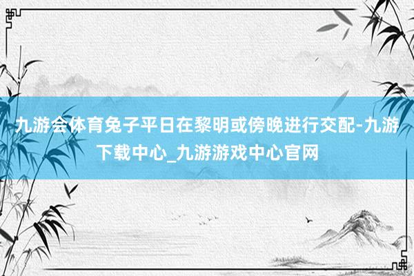 九游会体育兔子平日在黎明或傍晚进行交配-九游下载中心_九游游戏中心官网