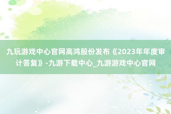 九玩游戏中心官网高鸿股份发布《2023年年度审计答复》-九游下载中心_九游游戏中心官网