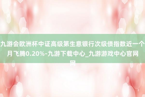 九游会欧洲杯中证高级第生意银行次级债指数近一个月飞腾0.20%-九游下载中心_九游游戏中心官网