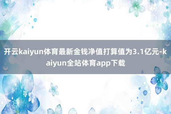 开云kaiyun体育最新金钱净值打算值为3.1亿元-kaiyun全站体育app下载