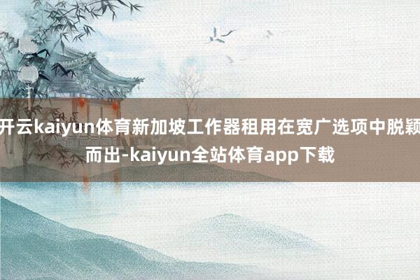 开云kaiyun体育新加坡工作器租用在宽广选项中脱颖而出-kaiyun全站体育app下载